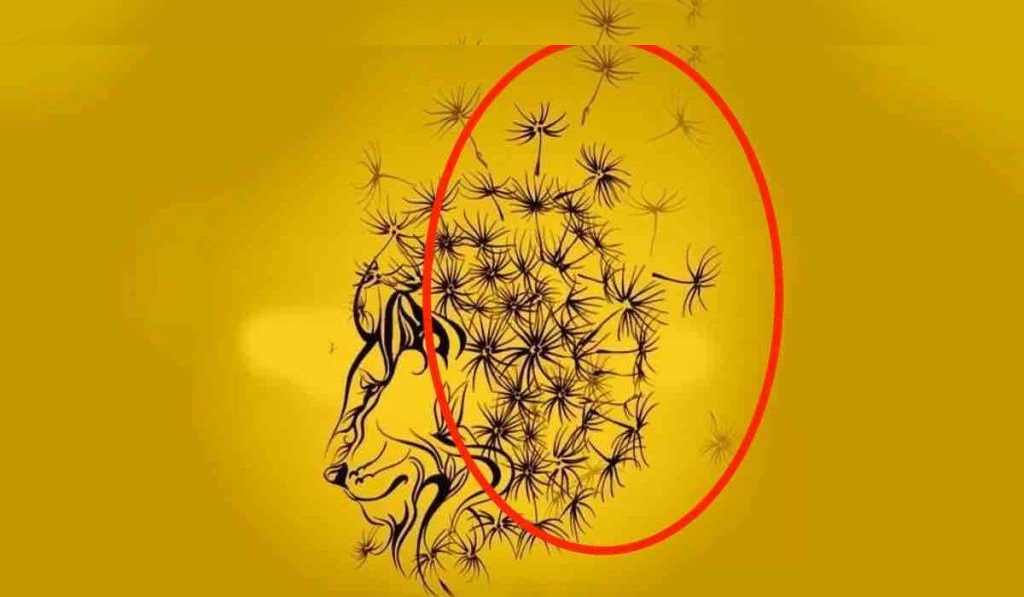 test de personnalité pissenlits