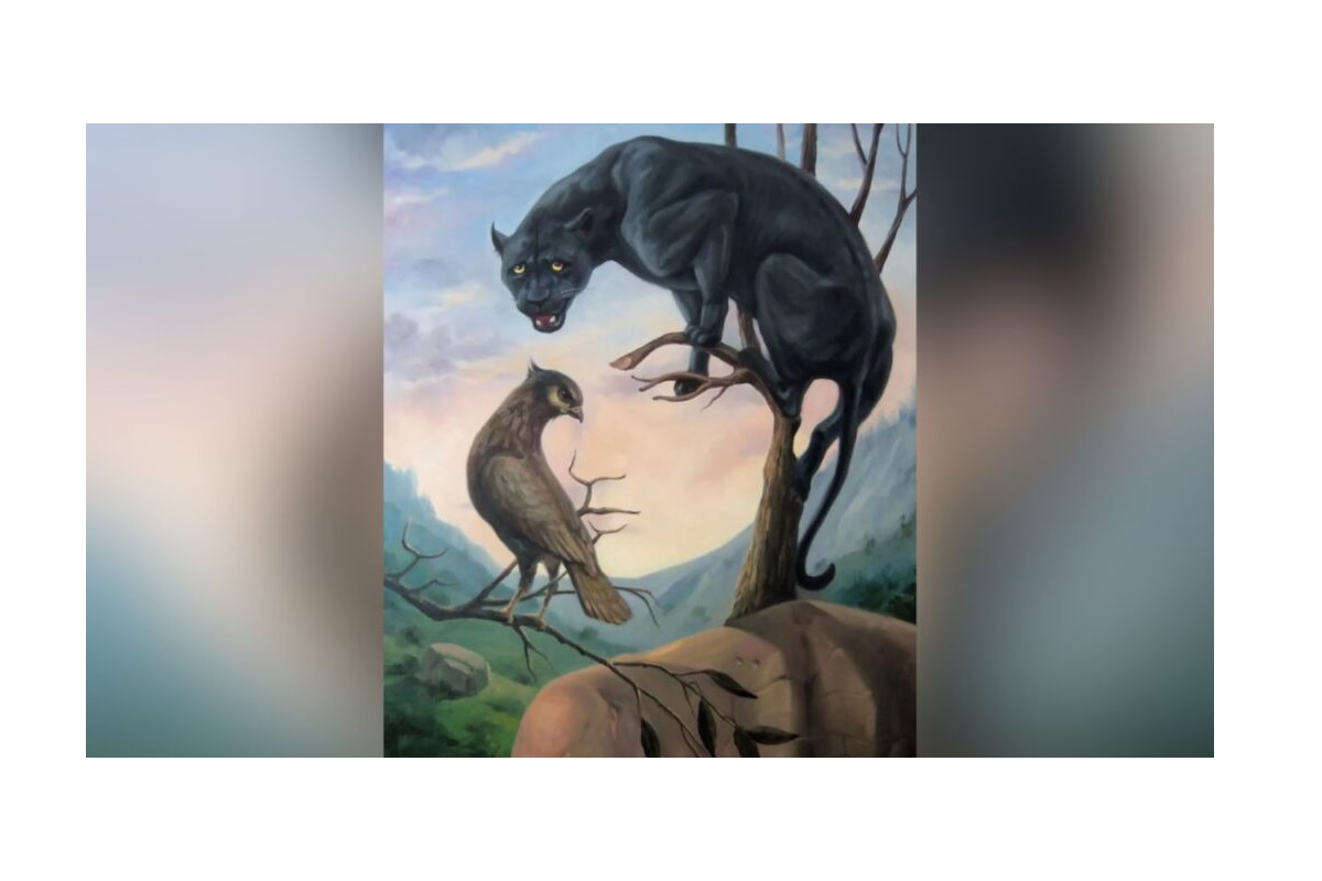 visage caché illusion d’optique