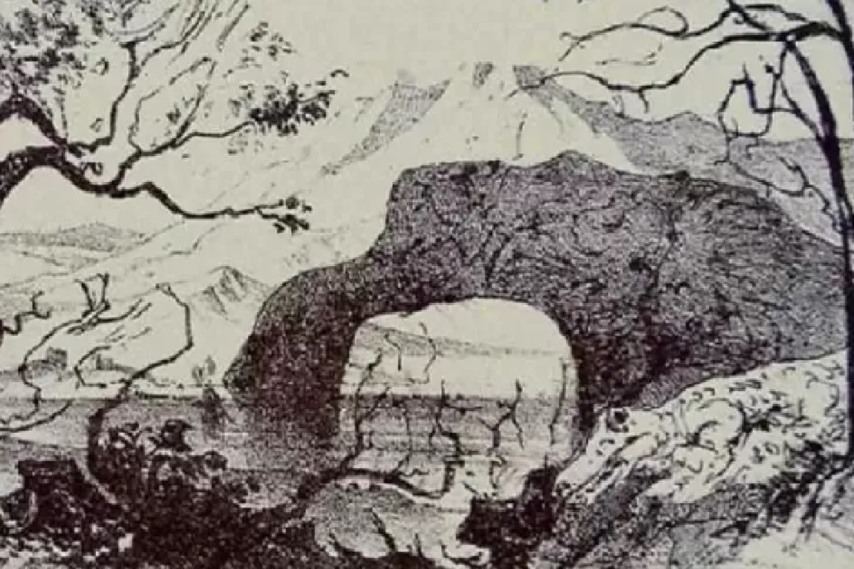 Défi visuel trouver animaux cachés