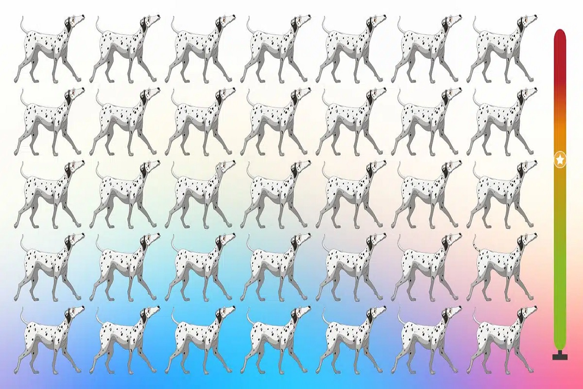 Défi visuel trouver deux chiens différents