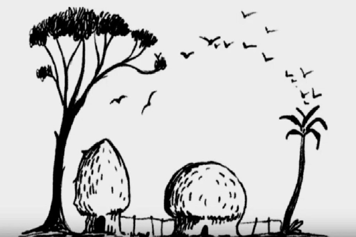 Illusion d’optique