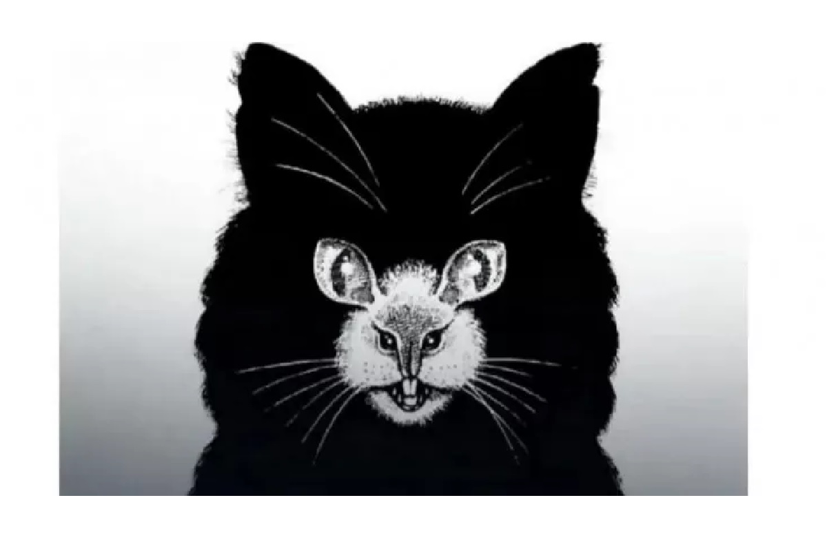 Illusion d’optique