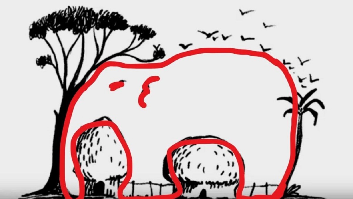 Illusion d’optique réponse