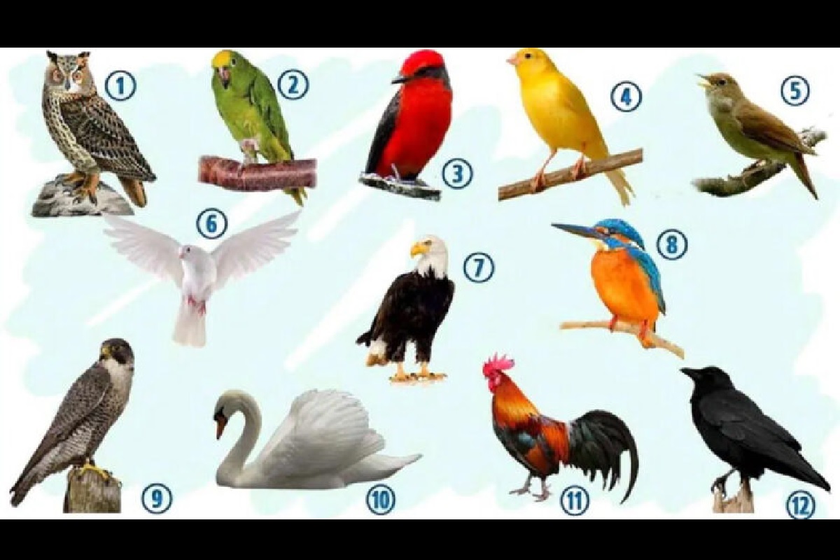 Test de personnalité