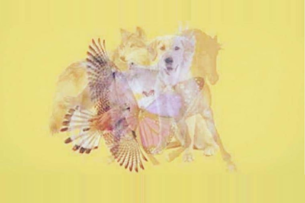 Test de personnalité