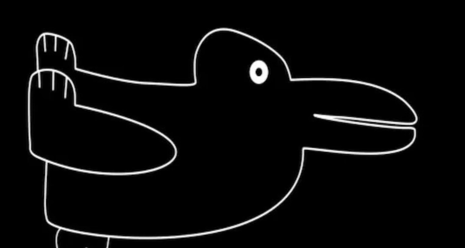 Test de personnalité lapin ou canard