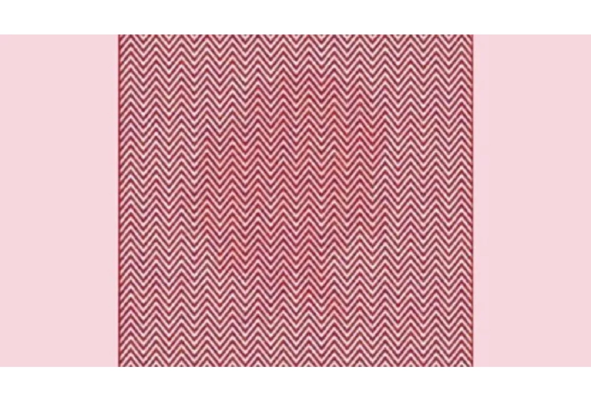 illusion d’optique hibou caché