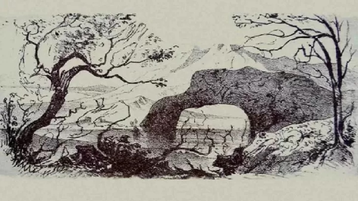 illusion optique animaux cachés