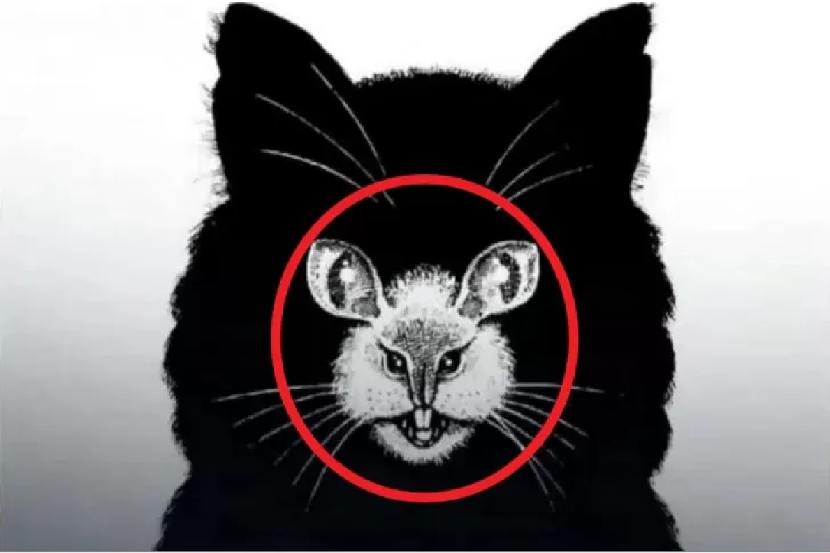 résultat illusion d’optique