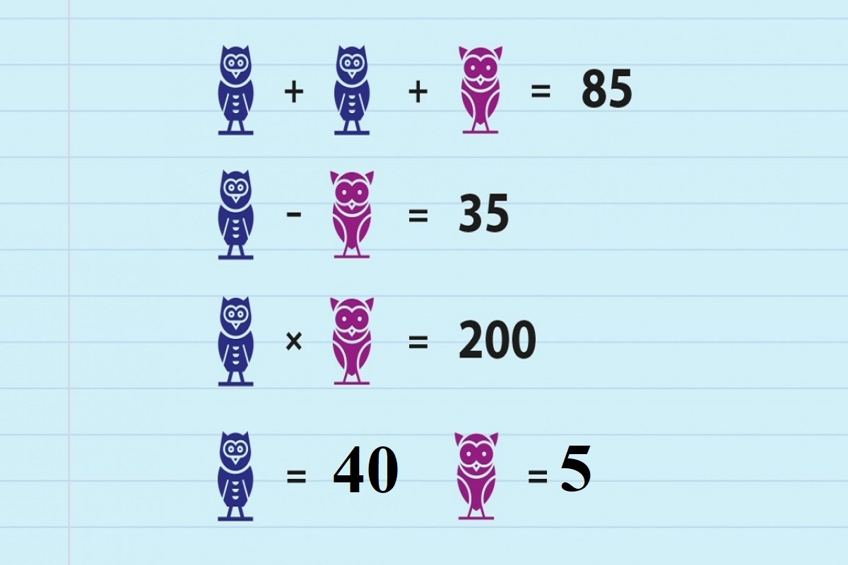 résultat test de QI calcul mental