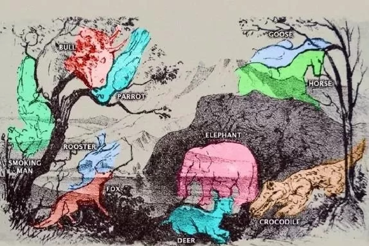 solution animaux dissimulés