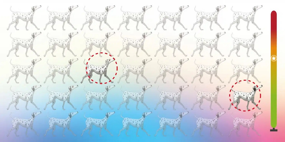 solution défi visuel deux chiens différents