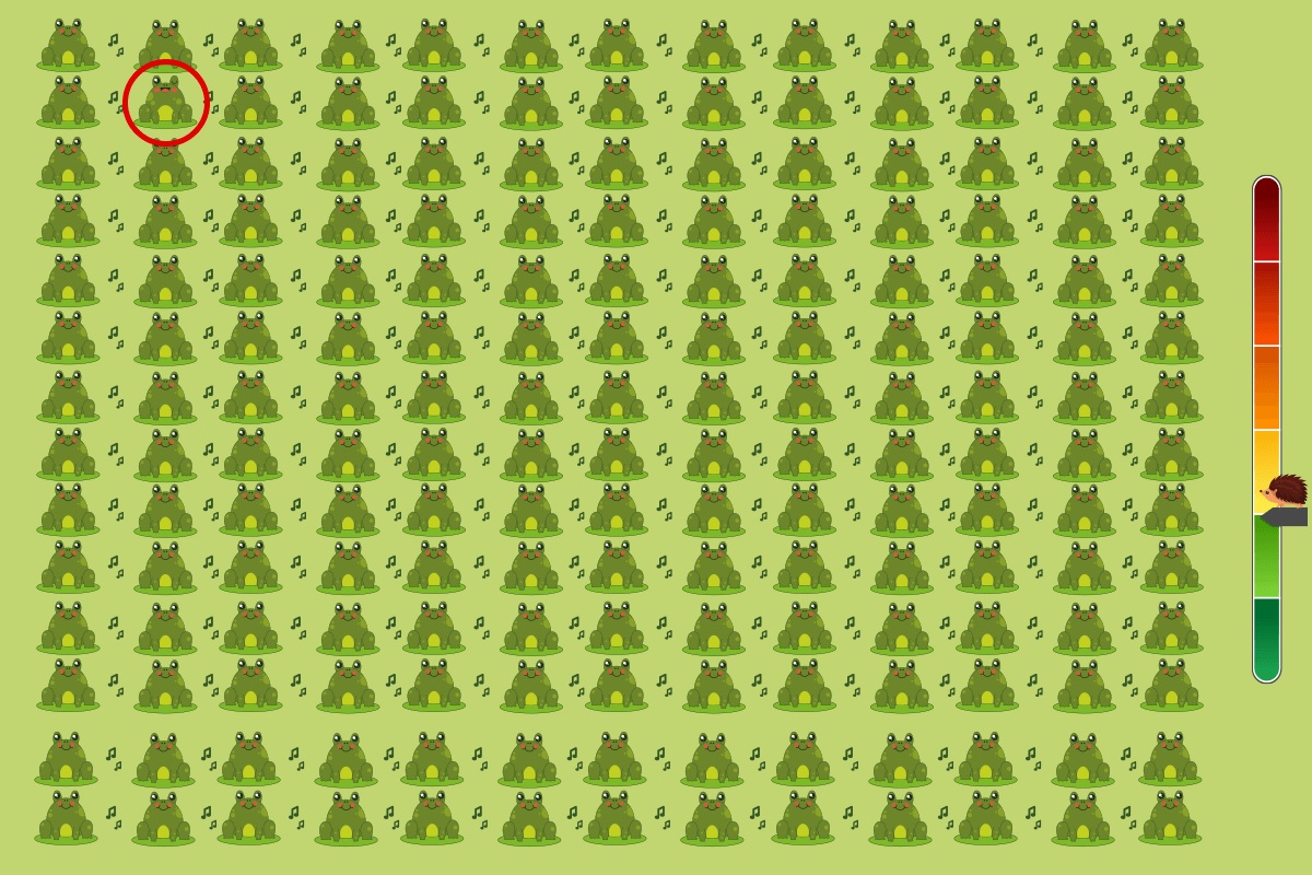 solution défi visuel grenouille
