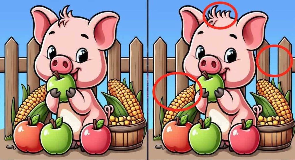 solution défi visuel