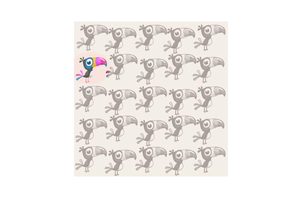 solution défi visuel oiseau atypique