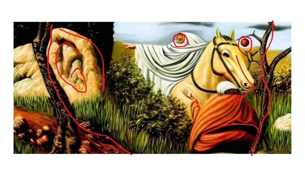 test visuel visage d'homme